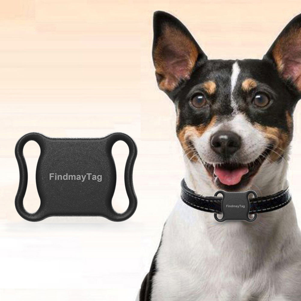 Smart Pet Cat & Dog GPS Tracker with a dog wearing the tracker for pet safety and location tracking.