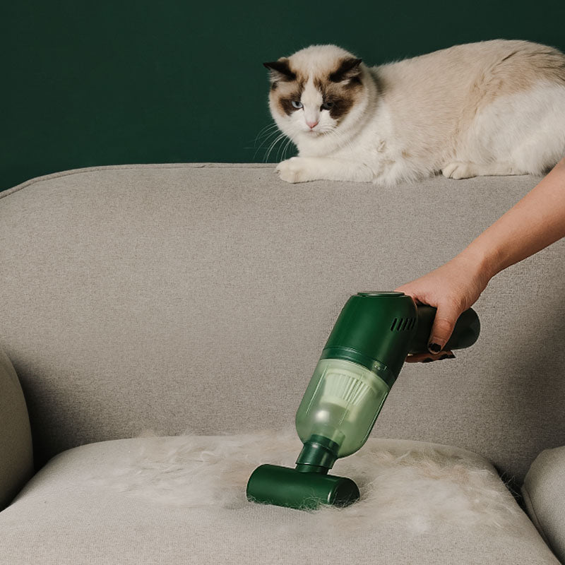 Pet Grooming Supplies Dog Hair Vacuum Cleaner in use, removing pet hair from sofa with a cat present.