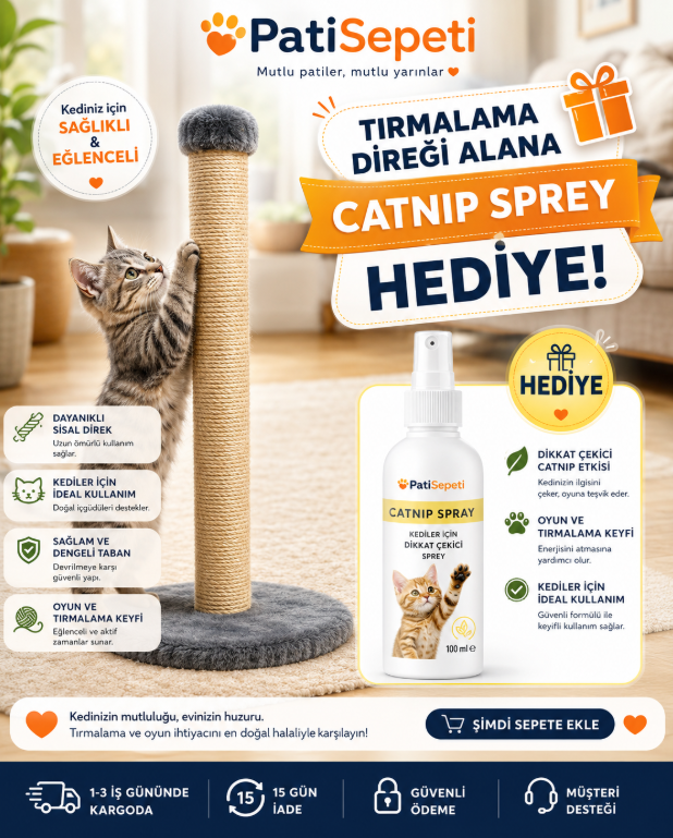 Şimdi tırmalama Direği Al, Catnip Sprey Bedava Kazan !!!