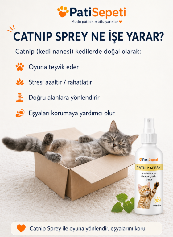 Şimdi tırmalama Direği Al, Catnip Sprey Bedava Kazan !!!