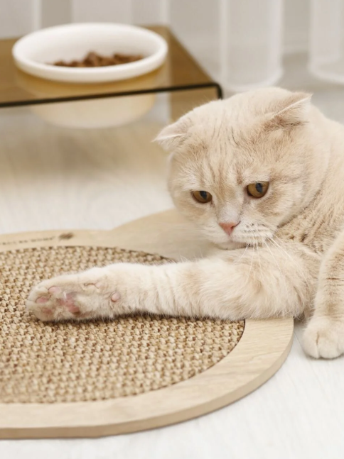 Doğal Sisal Kedi Tırmalama Matı Kedi Tırmalama Tahtası Kedi Otu Catnip Içerikli