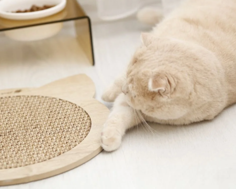 Doğal Sisal Kedi Tırmalama Matı Kedi Tırmalama Tahtası Kedi Otu Catnip Içerikli