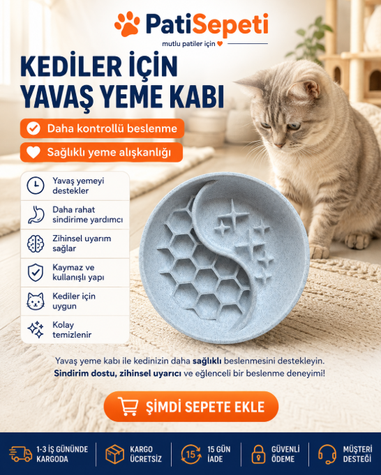 🐾 Sağlıklı Beslenme İçin Yavaş Yeme Kabı
