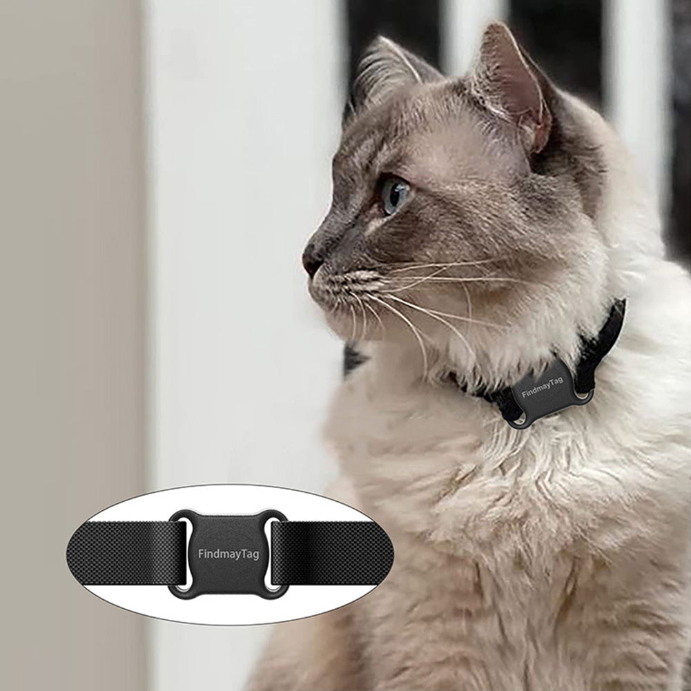 Smart Pet Cat & Dog GPS Tracker ile güvenli şekilde takip edilebilen bir kedi görüntüsü.